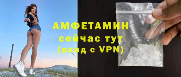 СК Алексин