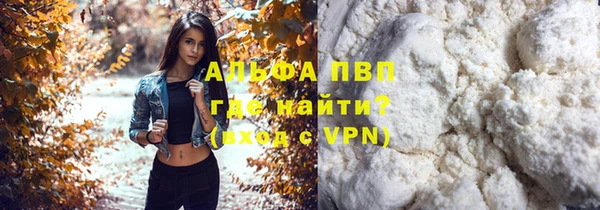 СК Алексин