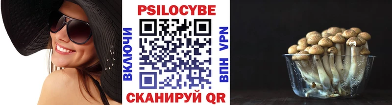 Галлюциногенные грибы мицелий  купить закладку  это официальный сайт  Саров 
